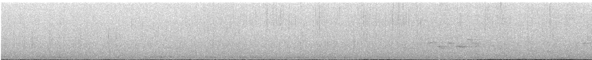 holub atolový - ML447027111