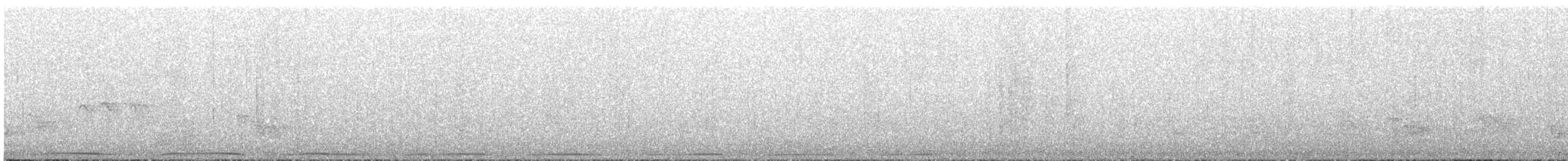 holub atolový - ML447027151