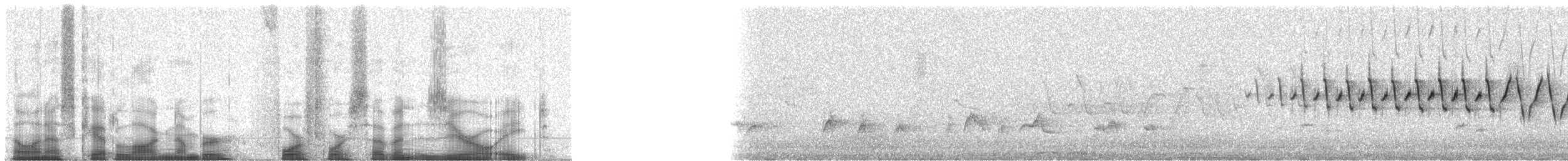 Lucy's Warbler - ML44708
