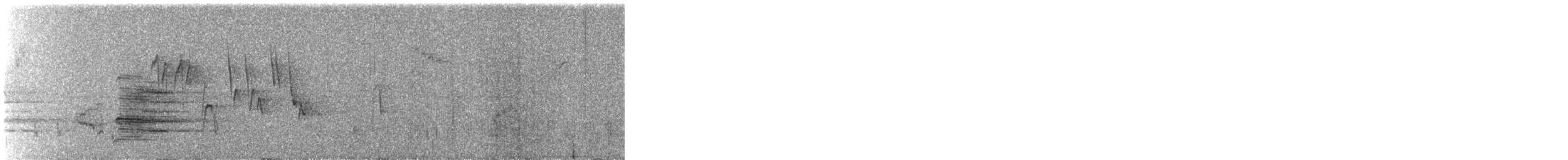 Paruline couronnée - ML447092831