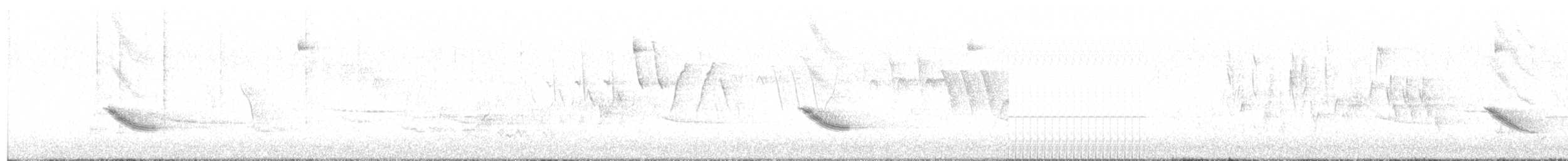 Veery - ML447107751