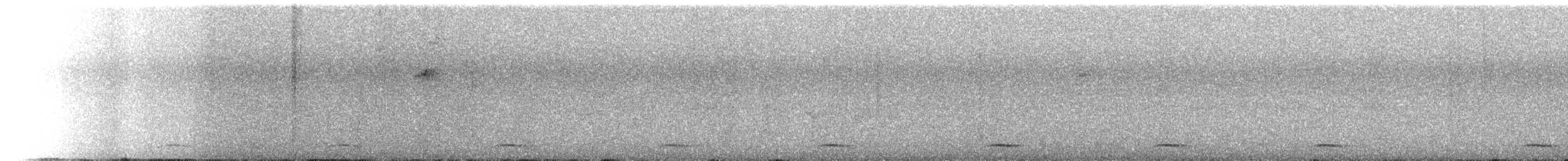 holub kostarický - ML447120371