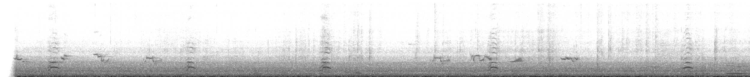 Antzara sp. (etxekoa) x Kanadako branta (hibridoa) - ML447120951