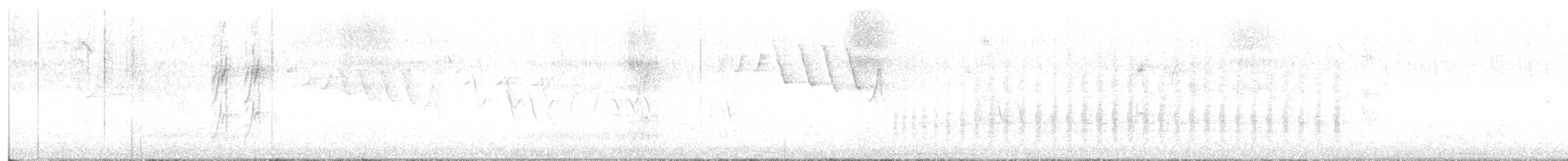 Дятел-смоктун білочеревий - ML447128931