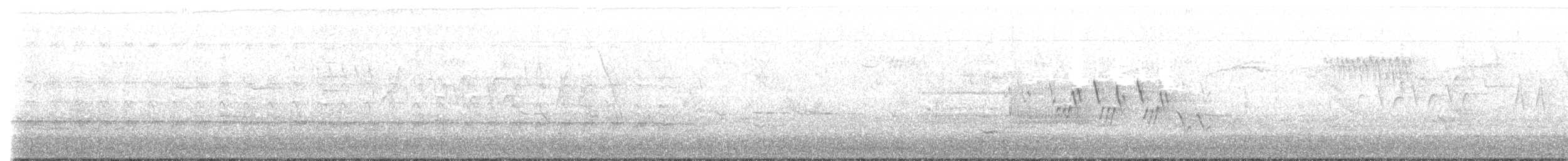 Черногорлая хвойница - ML447164731