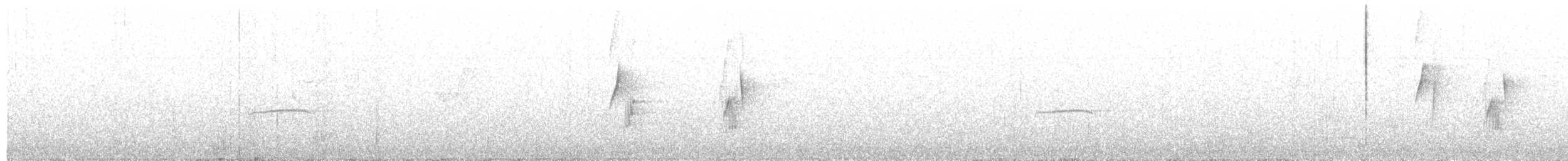 Tannenschnäppertyrann - ML447184251