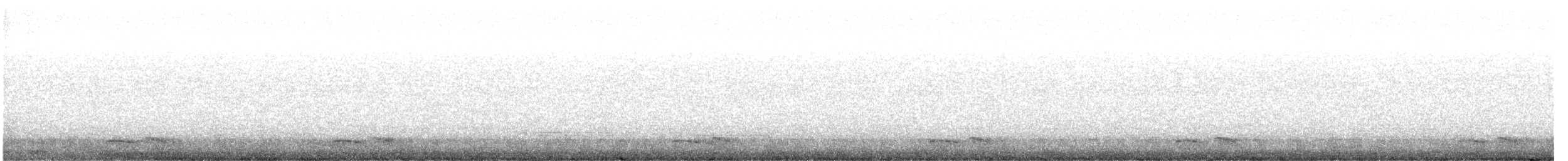 Winternachtschwalbe - ML447202801