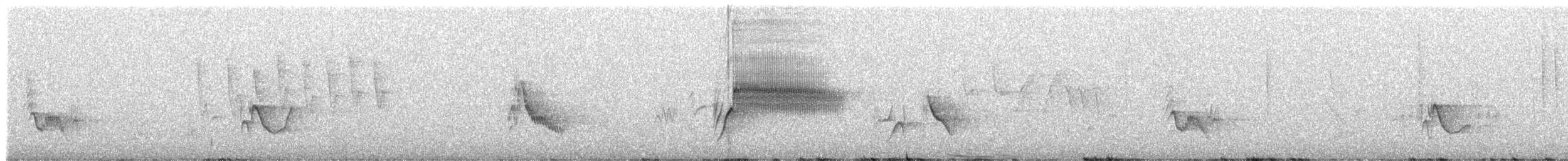 solitary vireo sp. - ML447244861