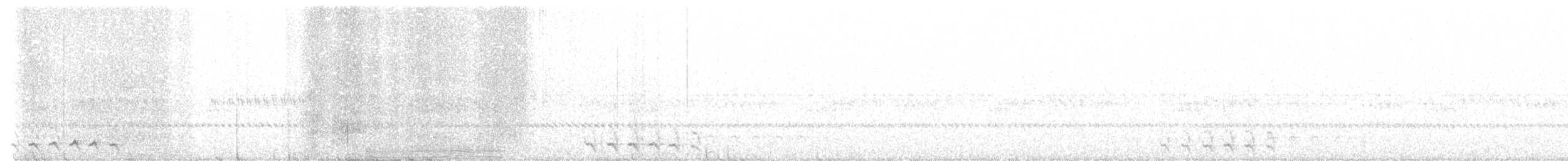Chevêchette des saguaros - ML447312001