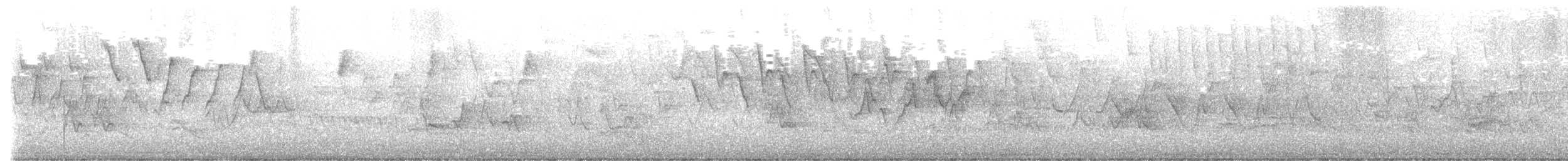 Kentucky Warbler - ML447314951