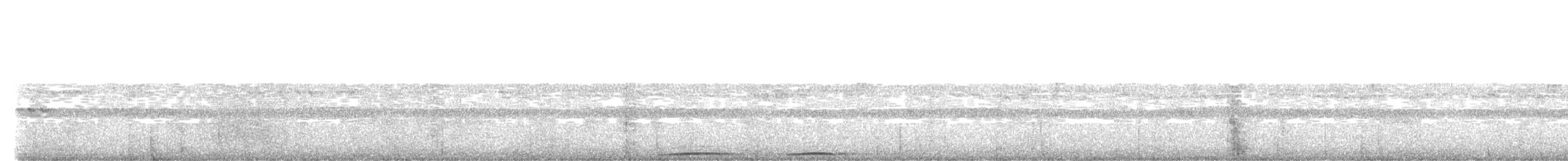 Гигантская иглоногая сова - ML447359121