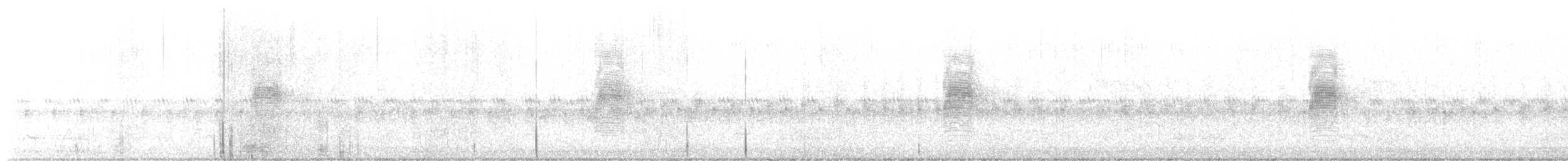 Carolinanachtschwalbe - ML447360511