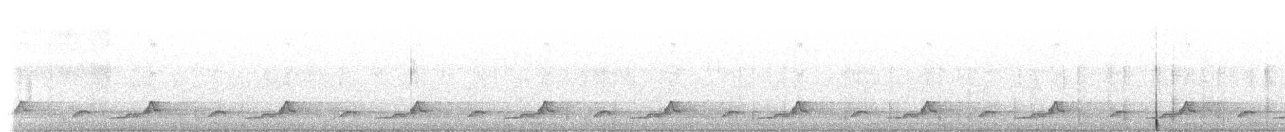 Schwarzkehl-Nachtschwalbe - ML447377371