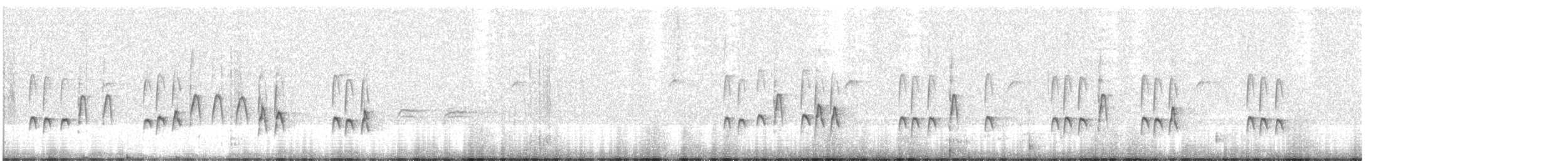 pygméspettmeis - ML447390931