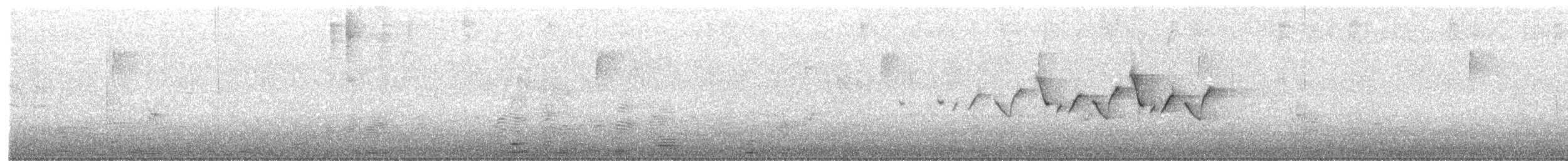 nordgulstrupe - ML447421621