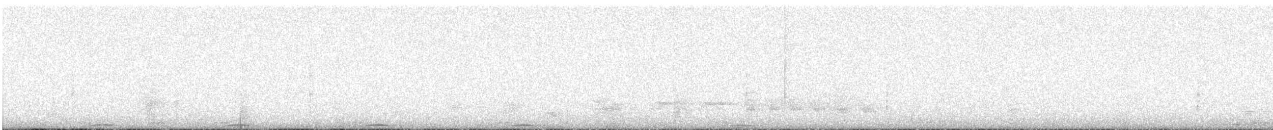 holub polynéský - ML447429351