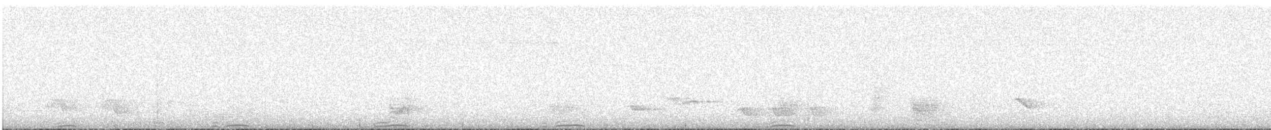 holub polynéský - ML447429471