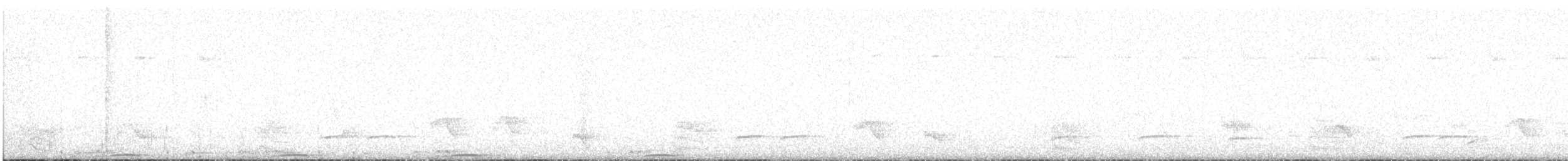 holub polynéský - ML447429511