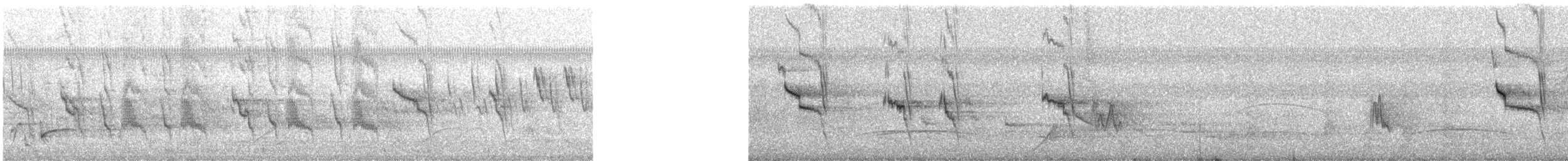 Rotscheitel-Maskentyrann - ML447447811