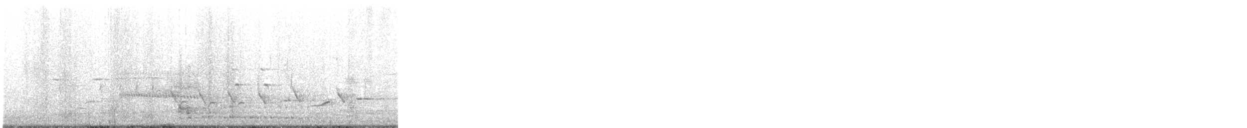 Guajolote Gallipavo - ML447502251