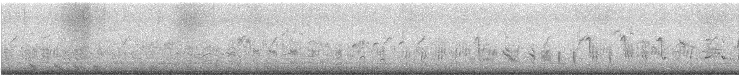 Common Reed Warbler - ML447504981