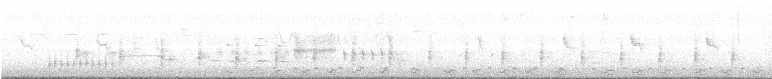Rascón de Ridgway (yumanensis) - ML447512581