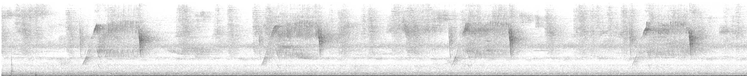 Spot-crowned Euphonia - ML447516651