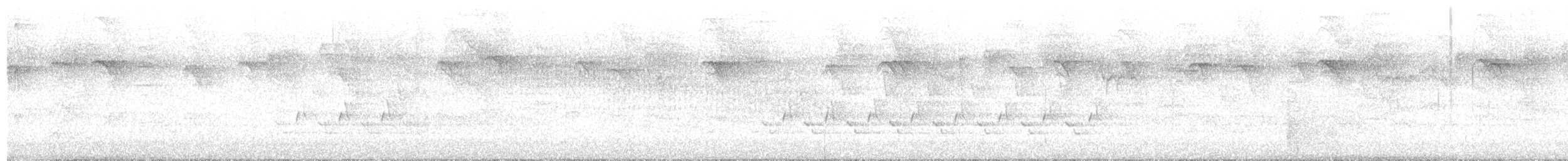 チャバラマユミソサザイ - ML447517461