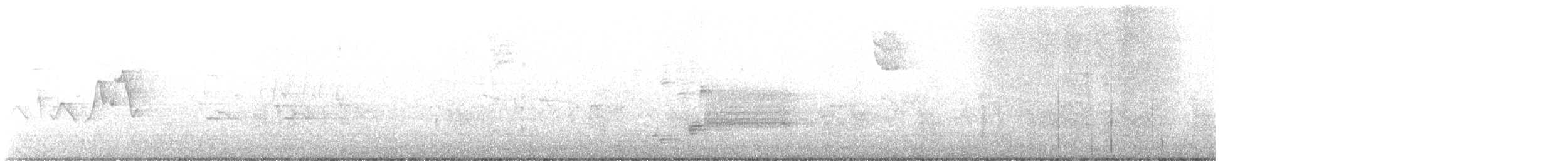 Magnolia Warbler - ML447560031