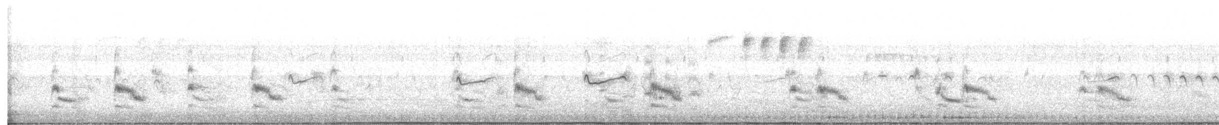 Крячок неоарктичний - ML447570841