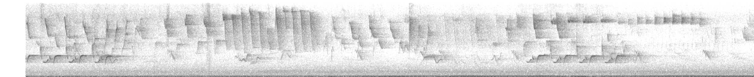 Paruline rayée - ML447577061