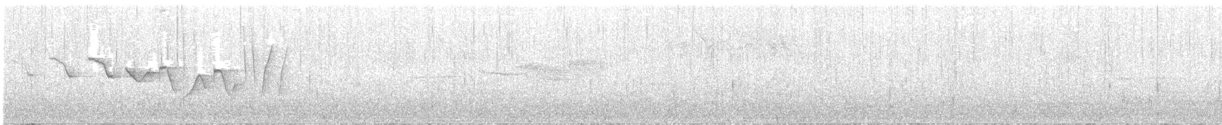 Louisiana Waterthrush - ML447586771