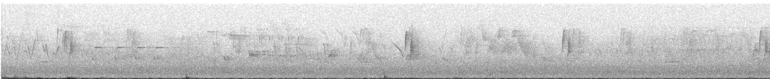 Least Flycatcher - ML447607171