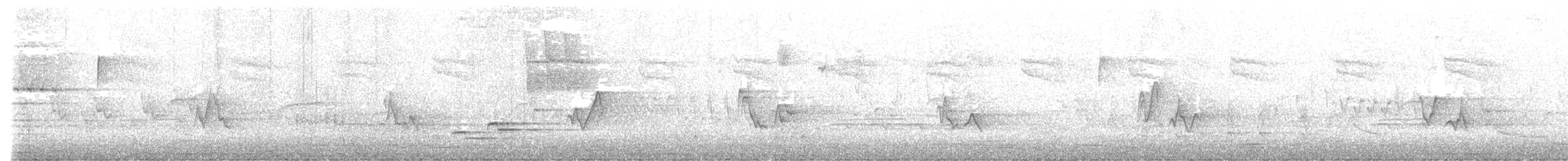 Walddrossel - ML447616021