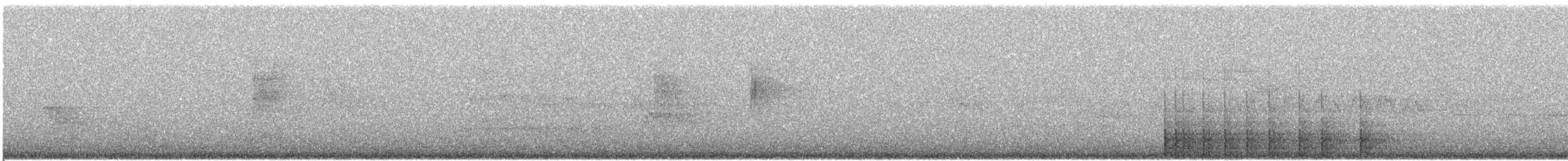 Дятел-смоктун білочеревий - ML447685551