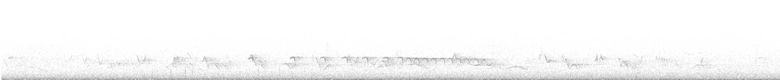 Chaparralgrasmücke - ML447775391