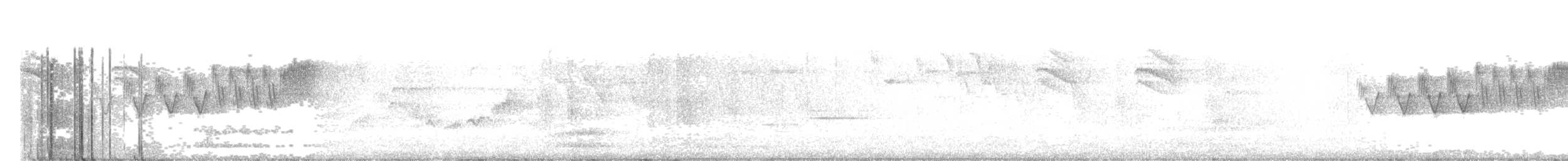 Cerulean Warbler - ML447830001