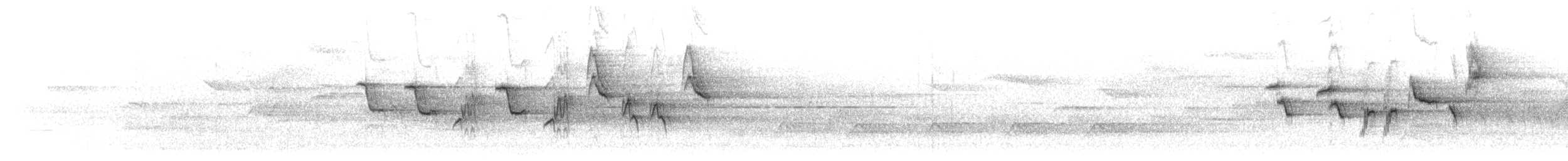 lejsek černohlavý - ML447877411