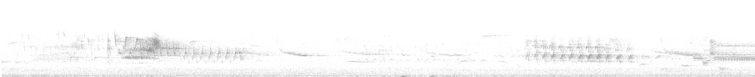 Віреон світлобровий (підвид gilvus) - ML447891931
