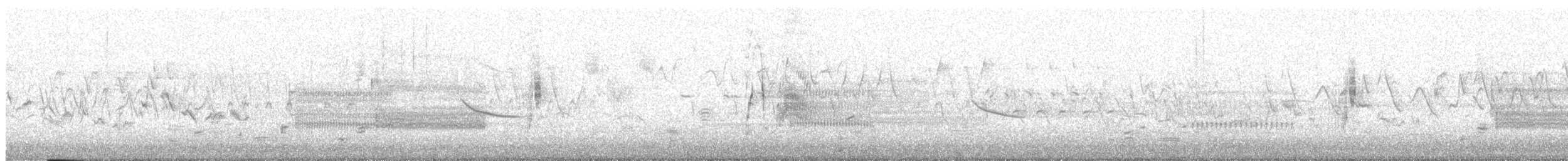 Willow Flycatcher - ML447959321