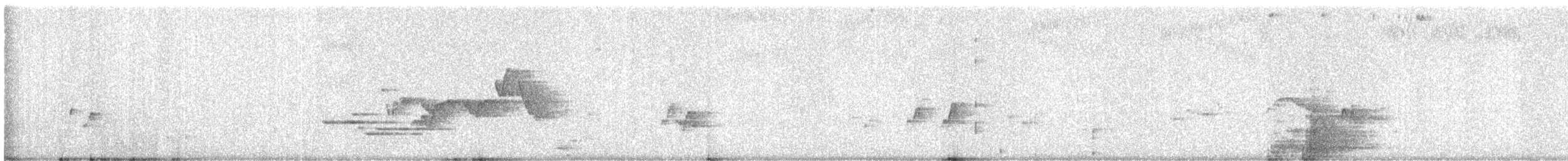 Zorzalito Maculado - ML447977891