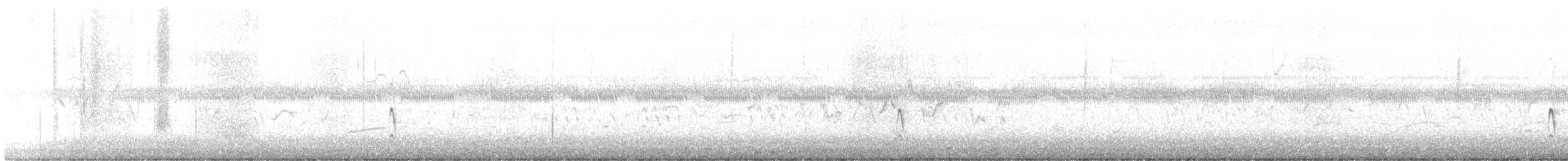 Scherenschwanz-Königstyrann - ML447994441