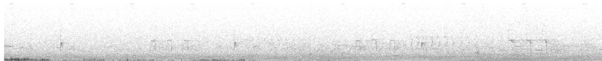 tyranovec olšový - ML448131341