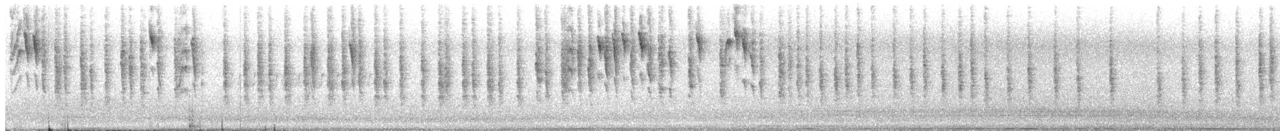 Northern House Wren - ML448157901