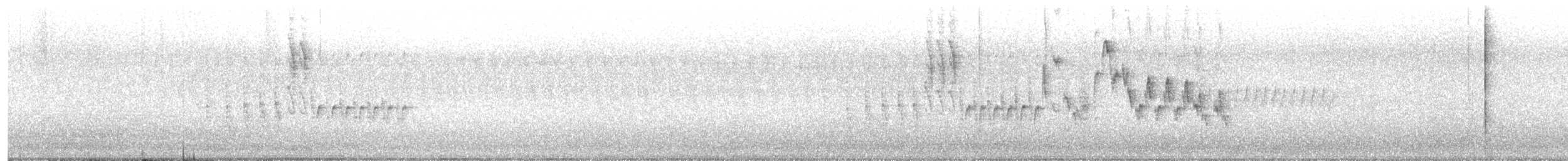 Northern House Wren - ML448157911