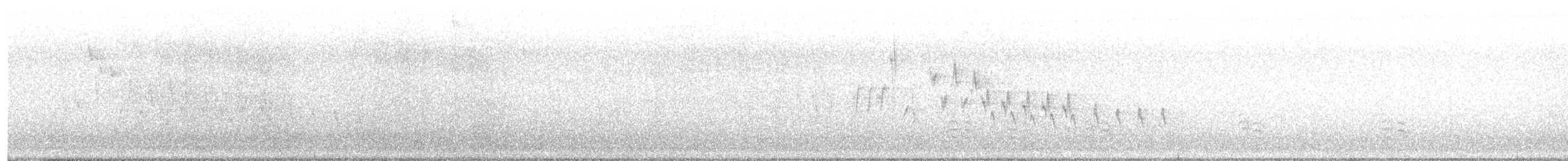 Weißbrustkleiber - ML448157961
