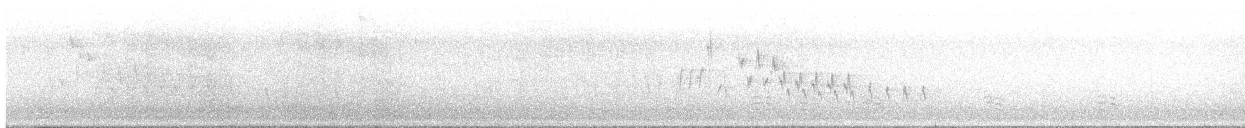 White-breasted Nuthatch - ML448157961