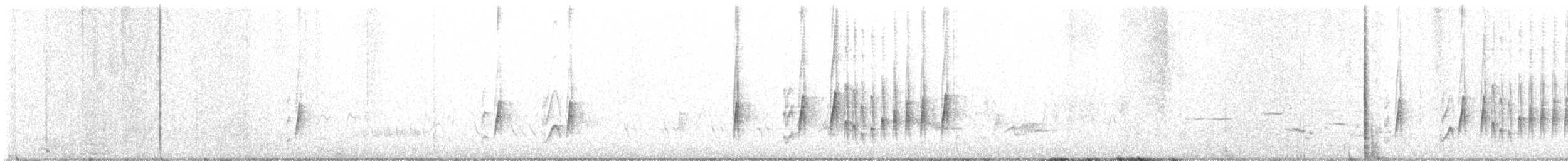 tyran západní - ML448165481