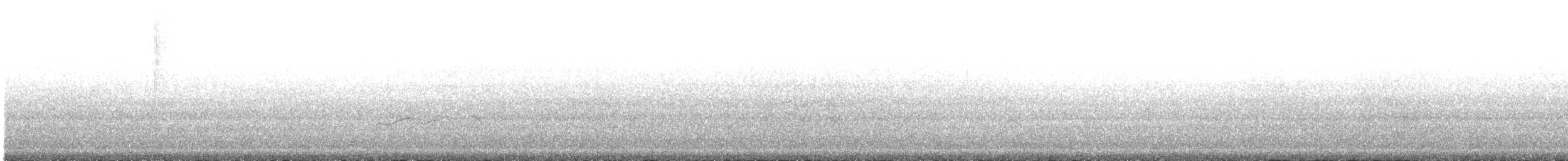 Gray-tailed Tattler - ML448185611