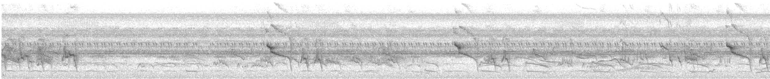 Rotscheitel-Maskentyrann - ML448189741